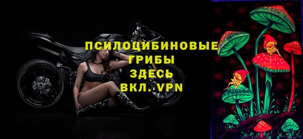 2c-b Пестово