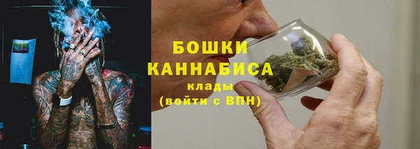 прущий лед Абаза