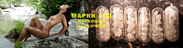 мескалин Алексин
